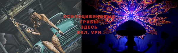 героин Белокуриха