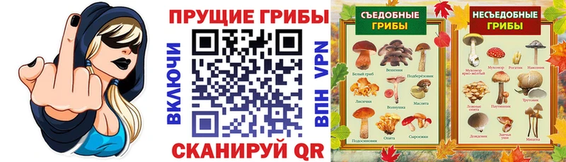 Галлюциногенные грибы Cubensis  Купить  Аша 